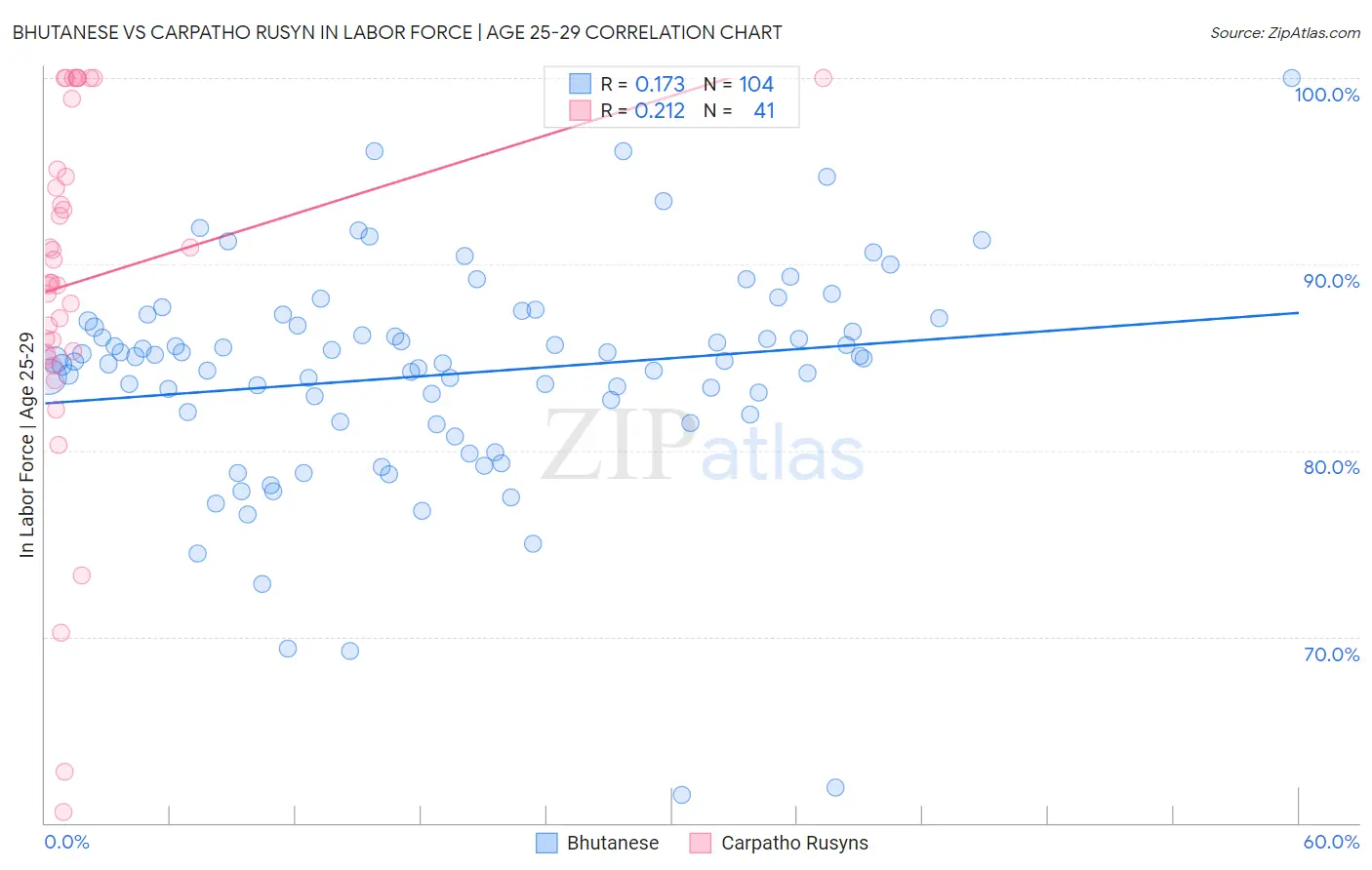 Bhutanese vs Carpatho Rusyn In Labor Force | Age 25-29