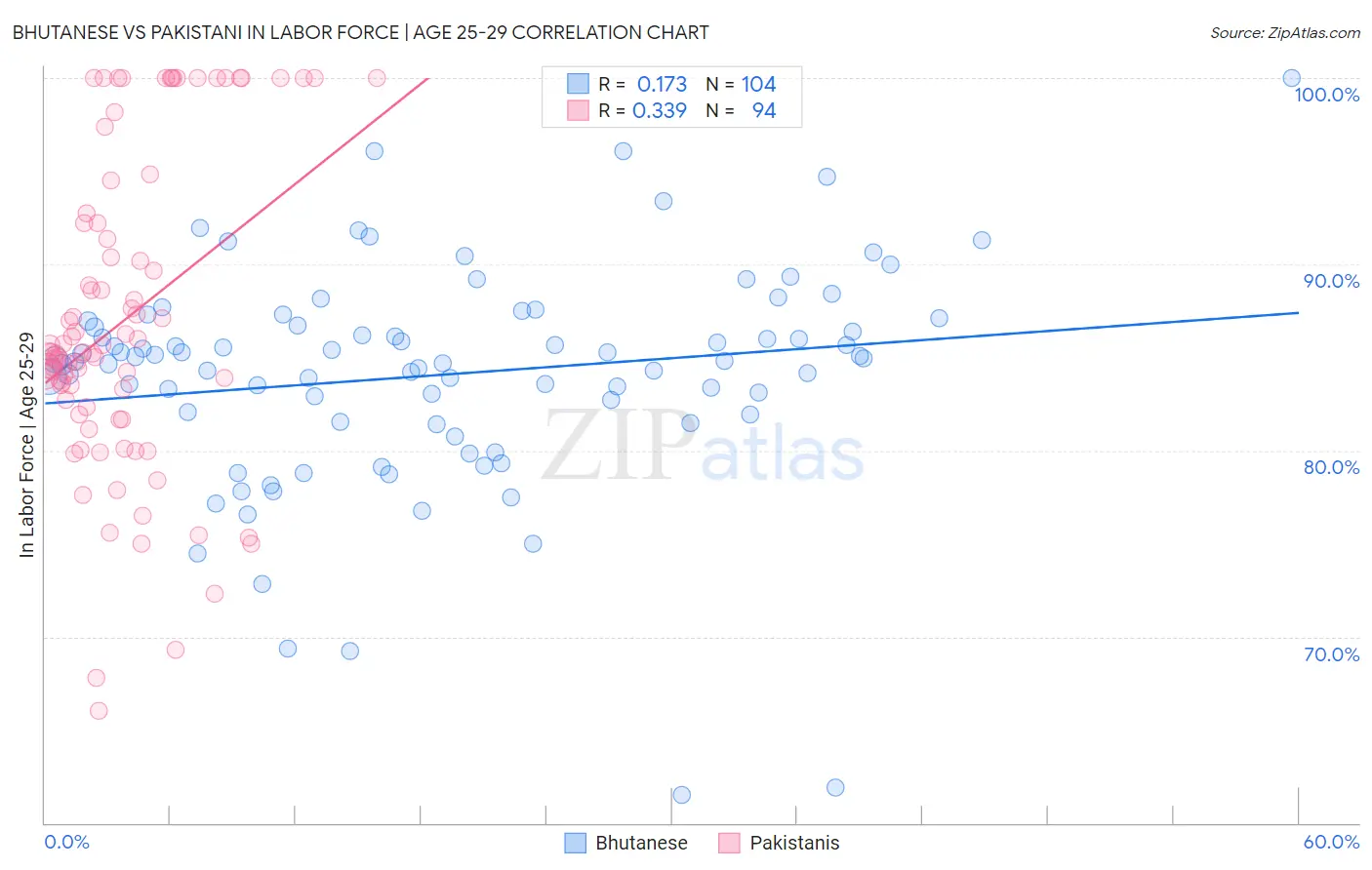 Bhutanese vs Pakistani In Labor Force | Age 25-29