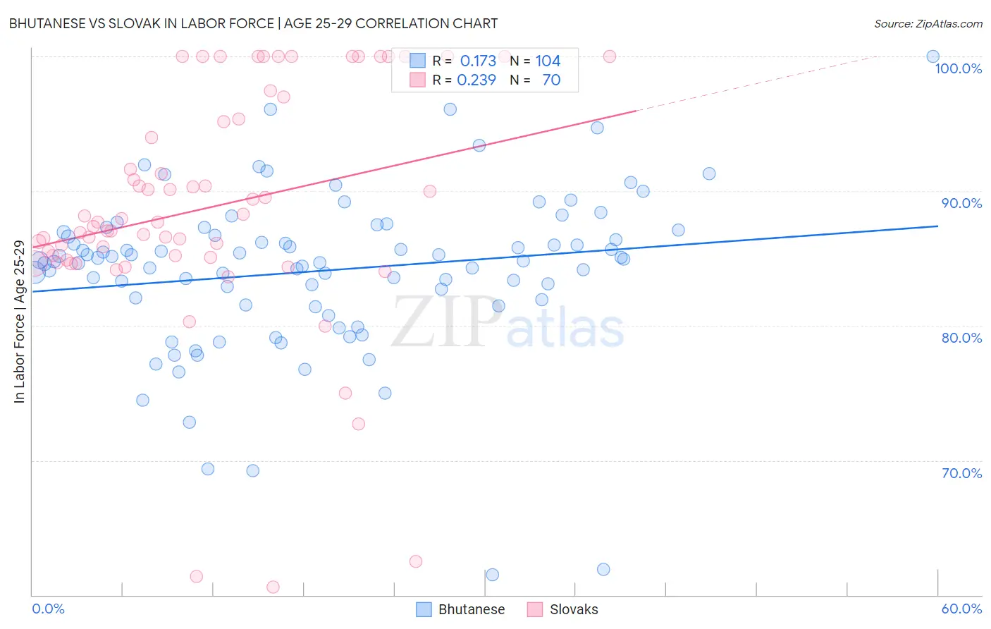 Bhutanese vs Slovak In Labor Force | Age 25-29