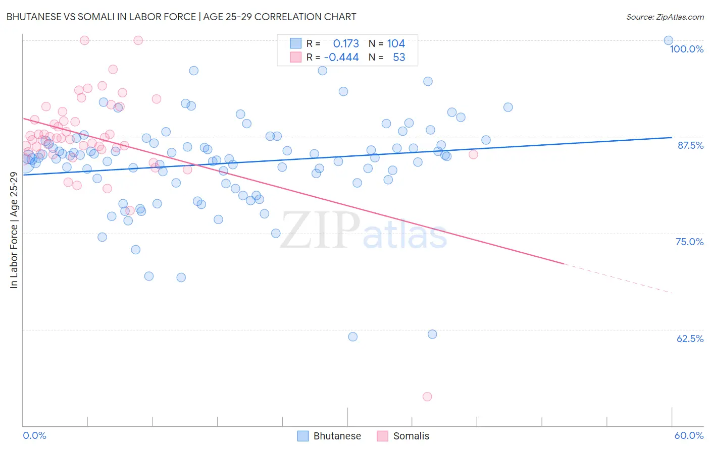 Bhutanese vs Somali In Labor Force | Age 25-29