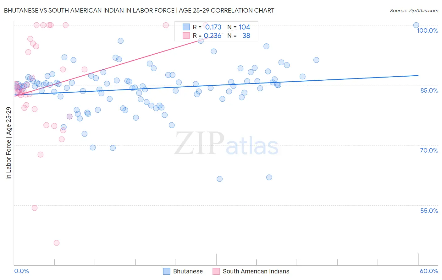 Bhutanese vs South American Indian In Labor Force | Age 25-29