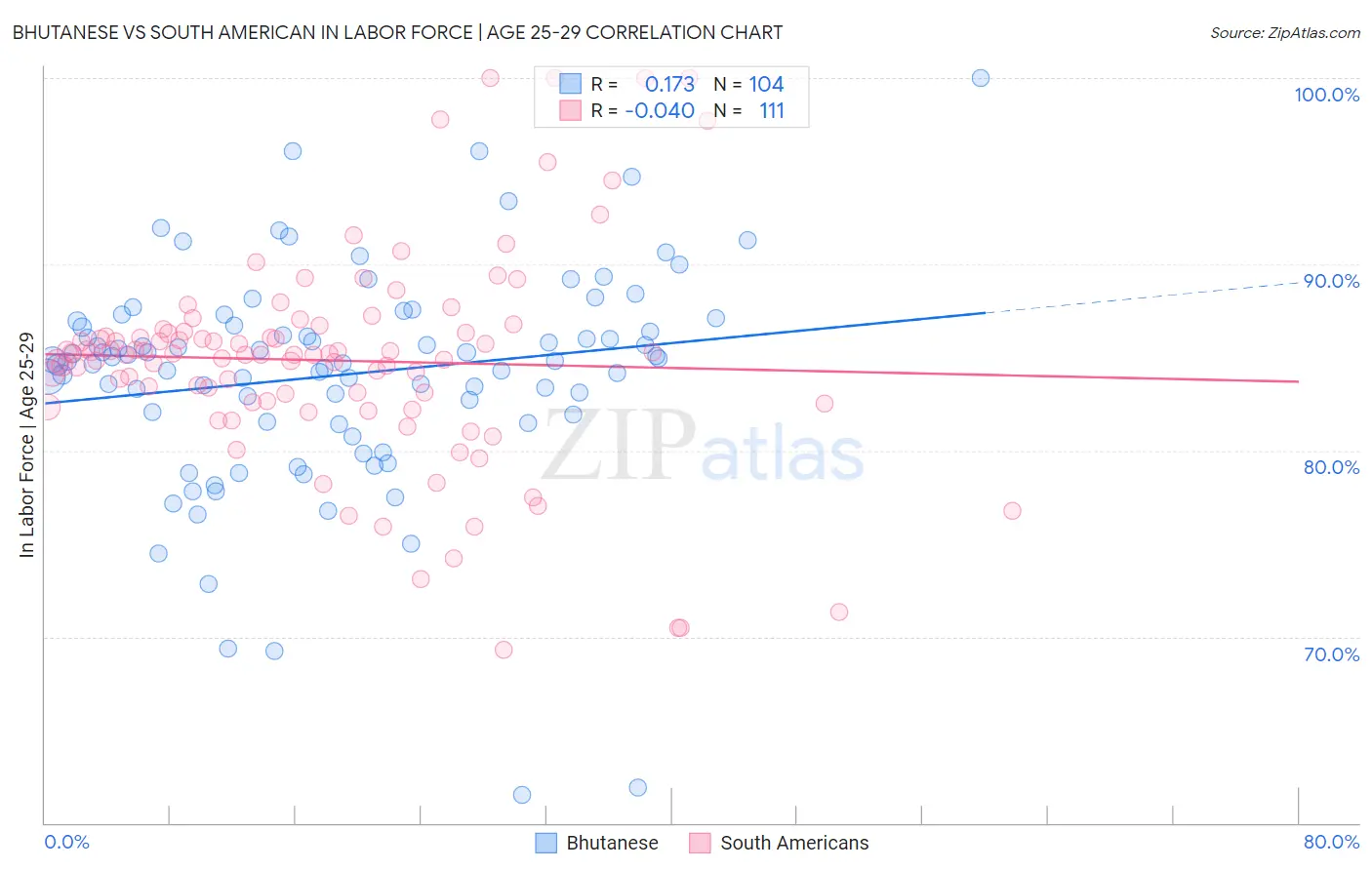 Bhutanese vs South American In Labor Force | Age 25-29