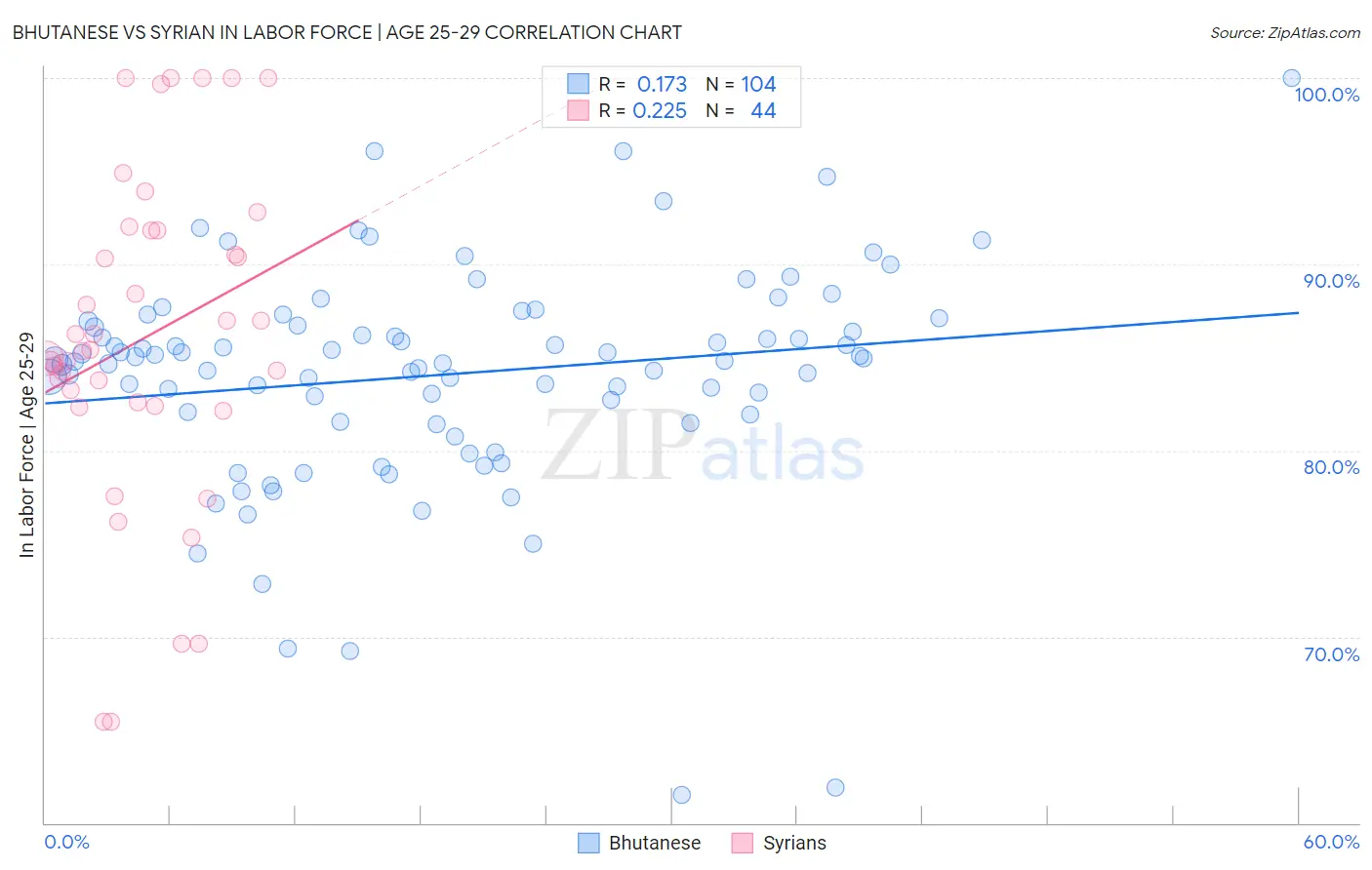 Bhutanese vs Syrian In Labor Force | Age 25-29