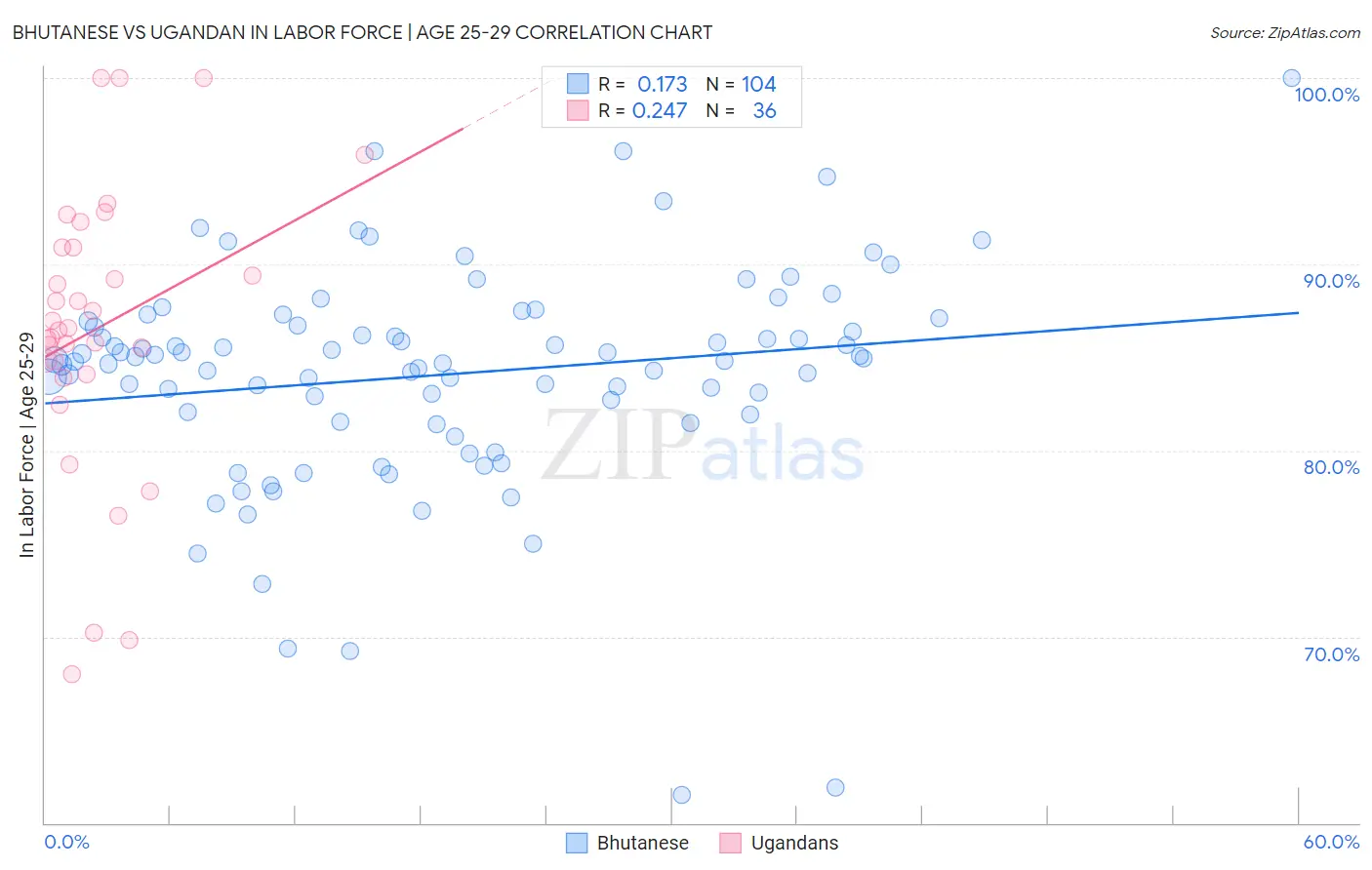 Bhutanese vs Ugandan In Labor Force | Age 25-29
