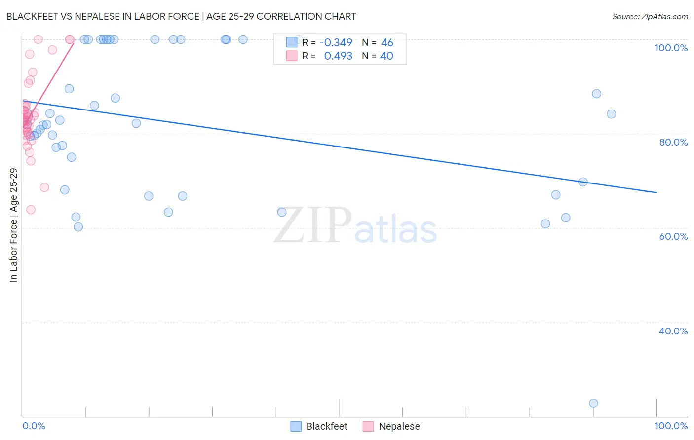 Blackfeet vs Nepalese In Labor Force | Age 25-29