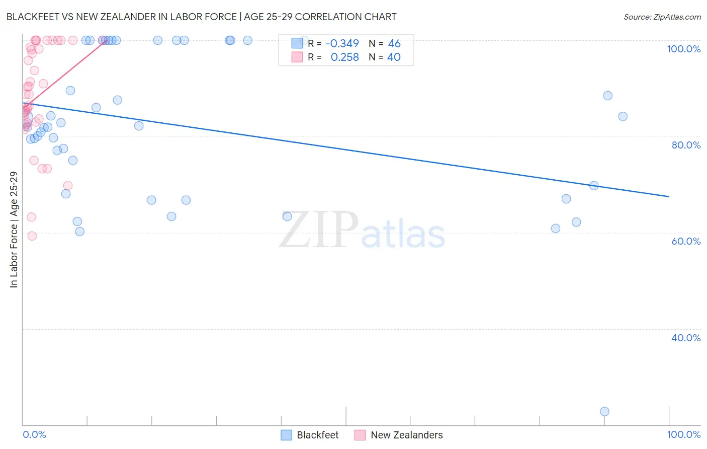 Blackfeet vs New Zealander In Labor Force | Age 25-29