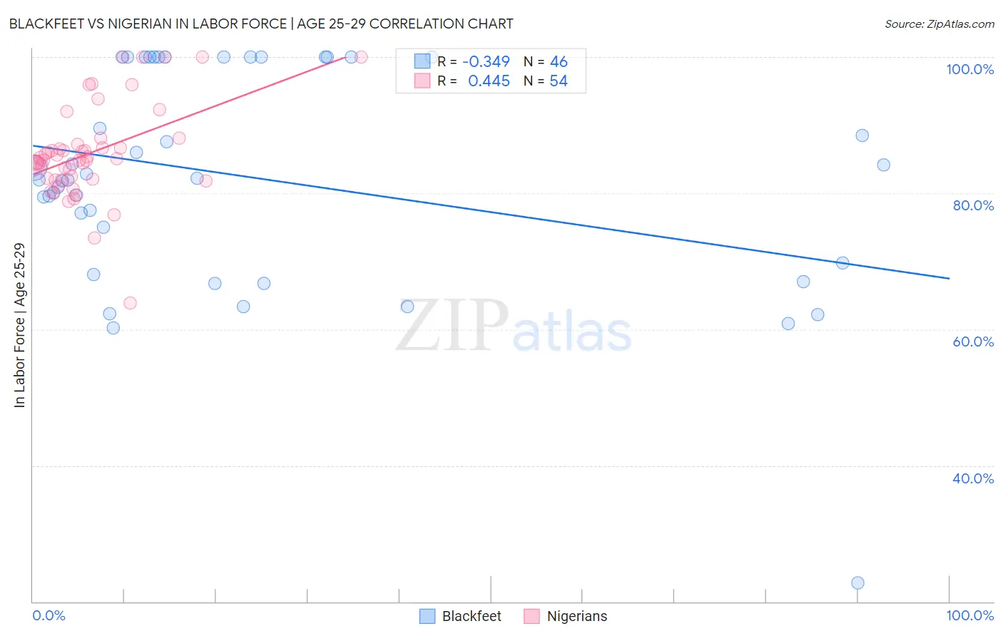Blackfeet vs Nigerian In Labor Force | Age 25-29