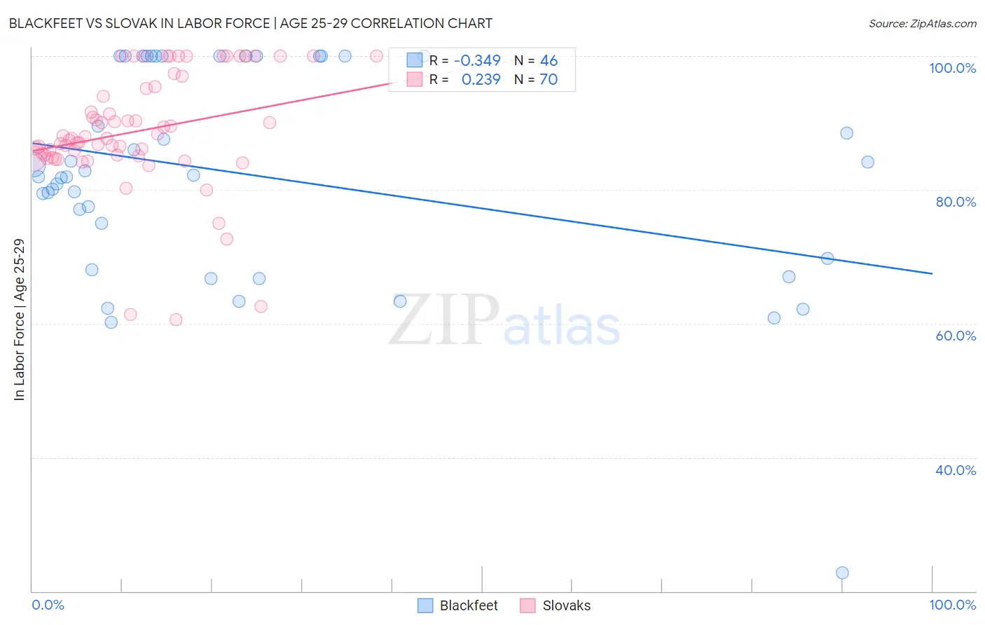 Blackfeet vs Slovak In Labor Force | Age 25-29