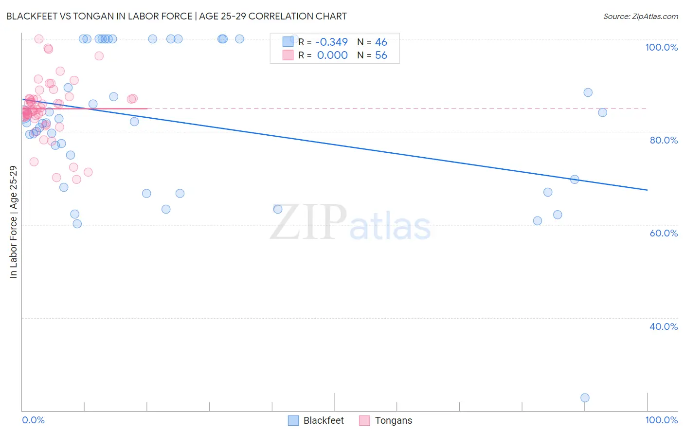 Blackfeet vs Tongan In Labor Force | Age 25-29