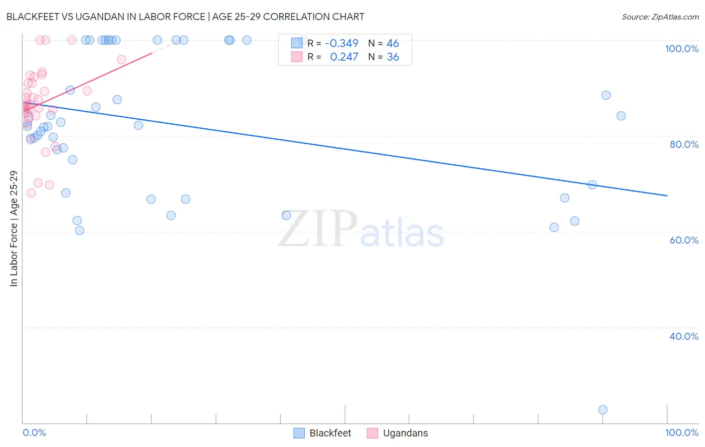 Blackfeet vs Ugandan In Labor Force | Age 25-29