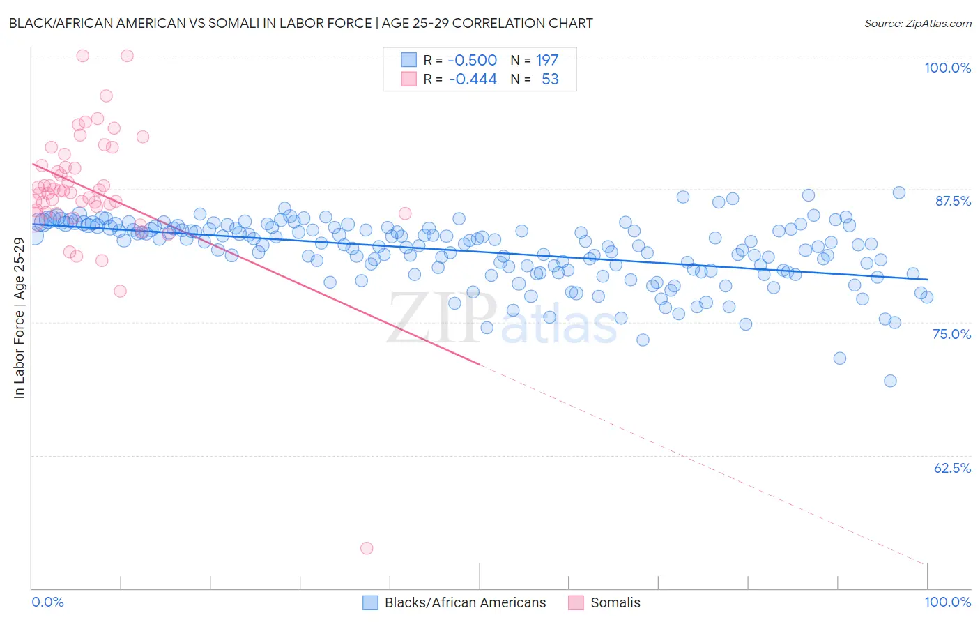 Black/African American vs Somali In Labor Force | Age 25-29