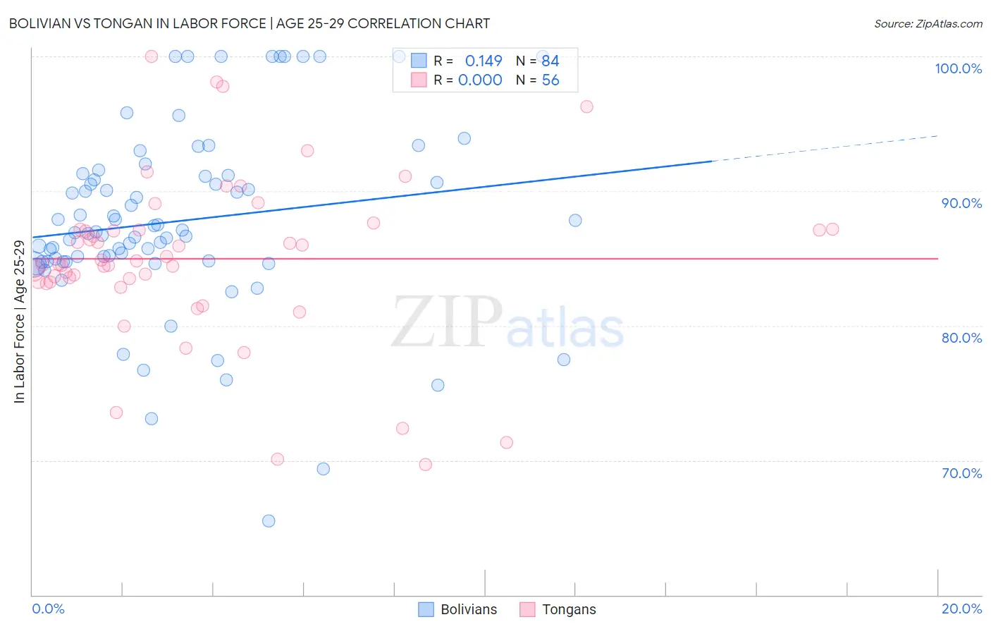 Bolivian vs Tongan In Labor Force | Age 25-29