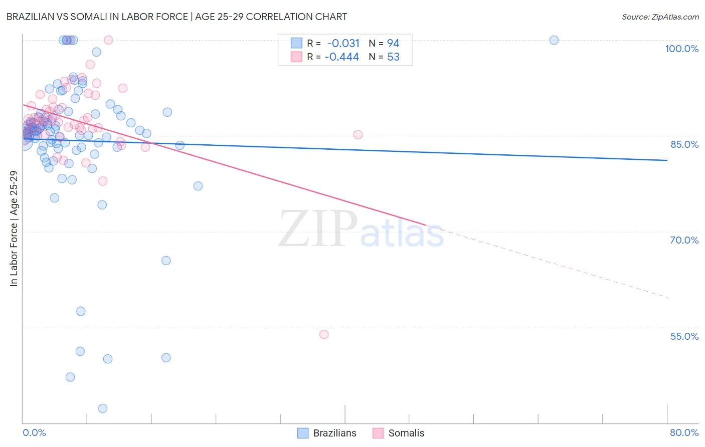 Brazilian vs Somali In Labor Force | Age 25-29