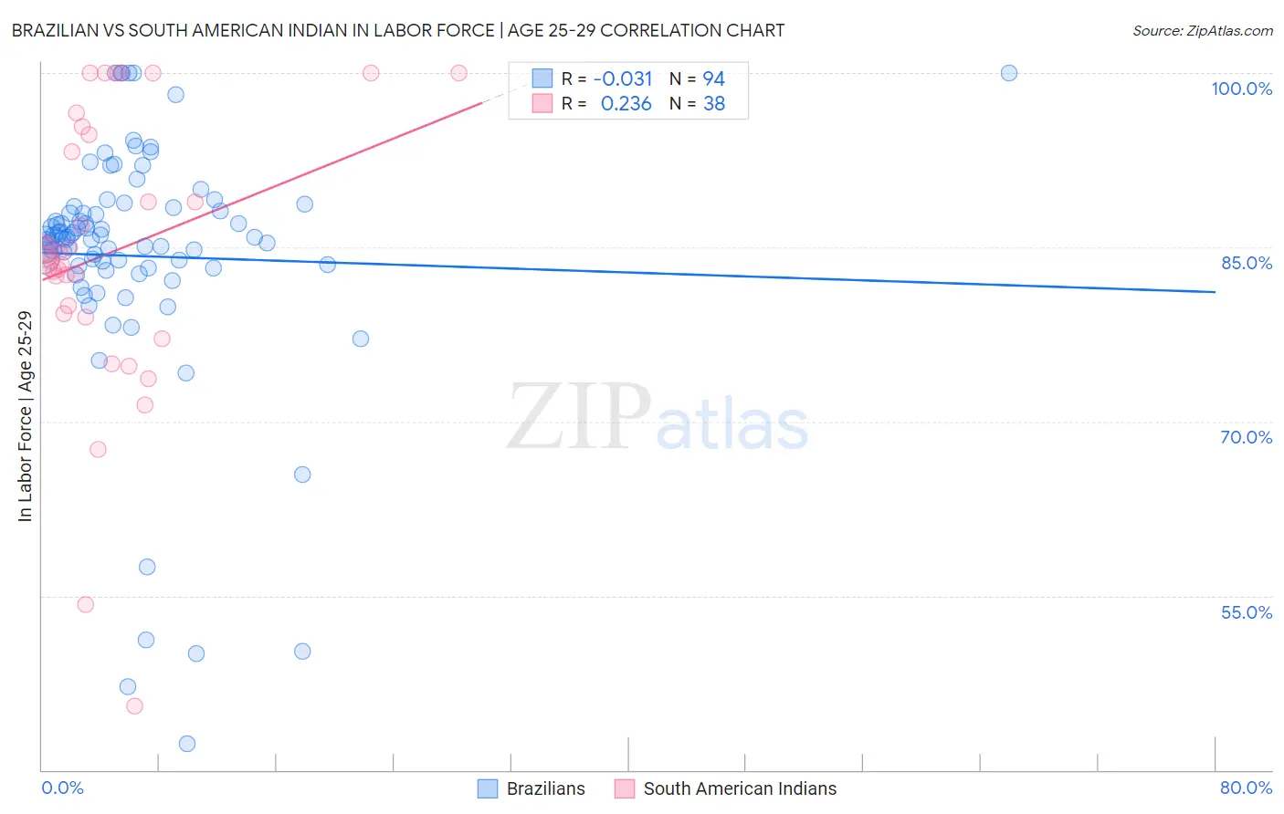 Brazilian vs South American Indian In Labor Force | Age 25-29
