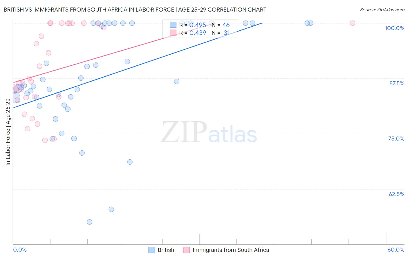 British vs Immigrants from South Africa In Labor Force | Age 25-29