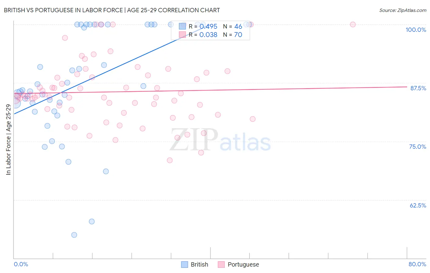 British vs Portuguese In Labor Force | Age 25-29
