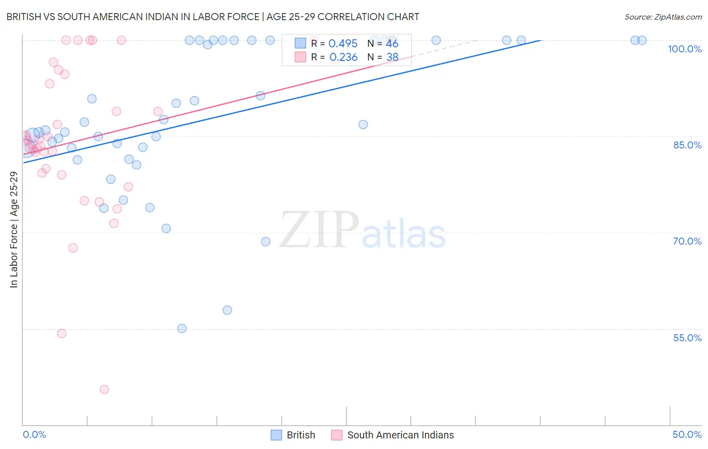 British vs South American Indian In Labor Force | Age 25-29