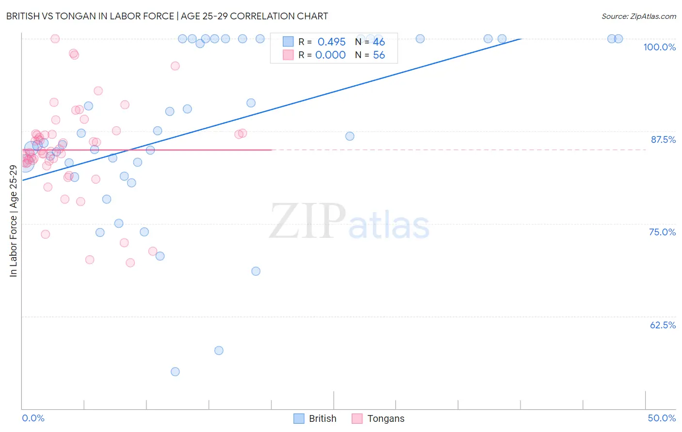British vs Tongan In Labor Force | Age 25-29