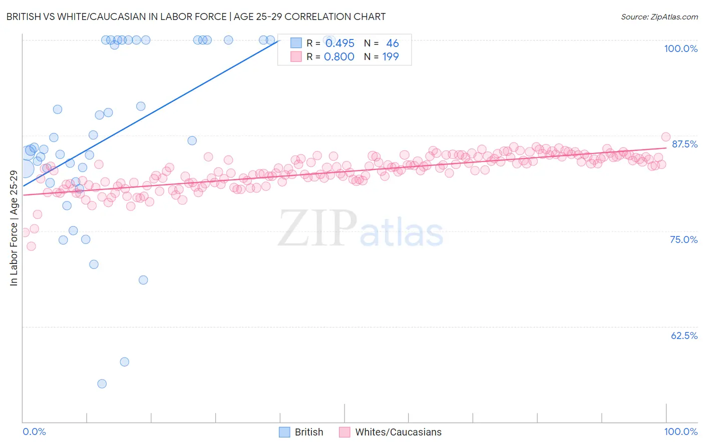 British vs White/Caucasian In Labor Force | Age 25-29