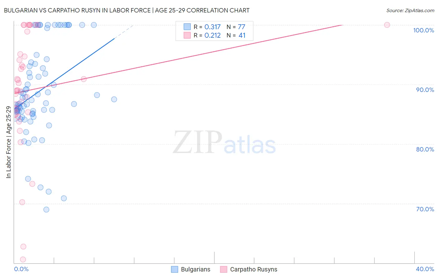 Bulgarian vs Carpatho Rusyn In Labor Force | Age 25-29