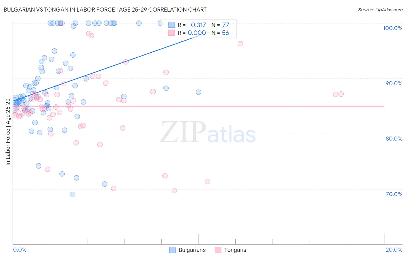 Bulgarian vs Tongan In Labor Force | Age 25-29