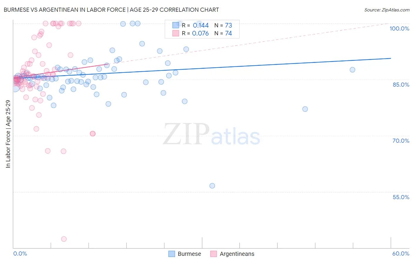 Burmese vs Argentinean In Labor Force | Age 25-29