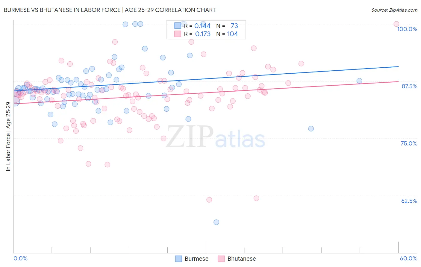 Burmese vs Bhutanese In Labor Force | Age 25-29