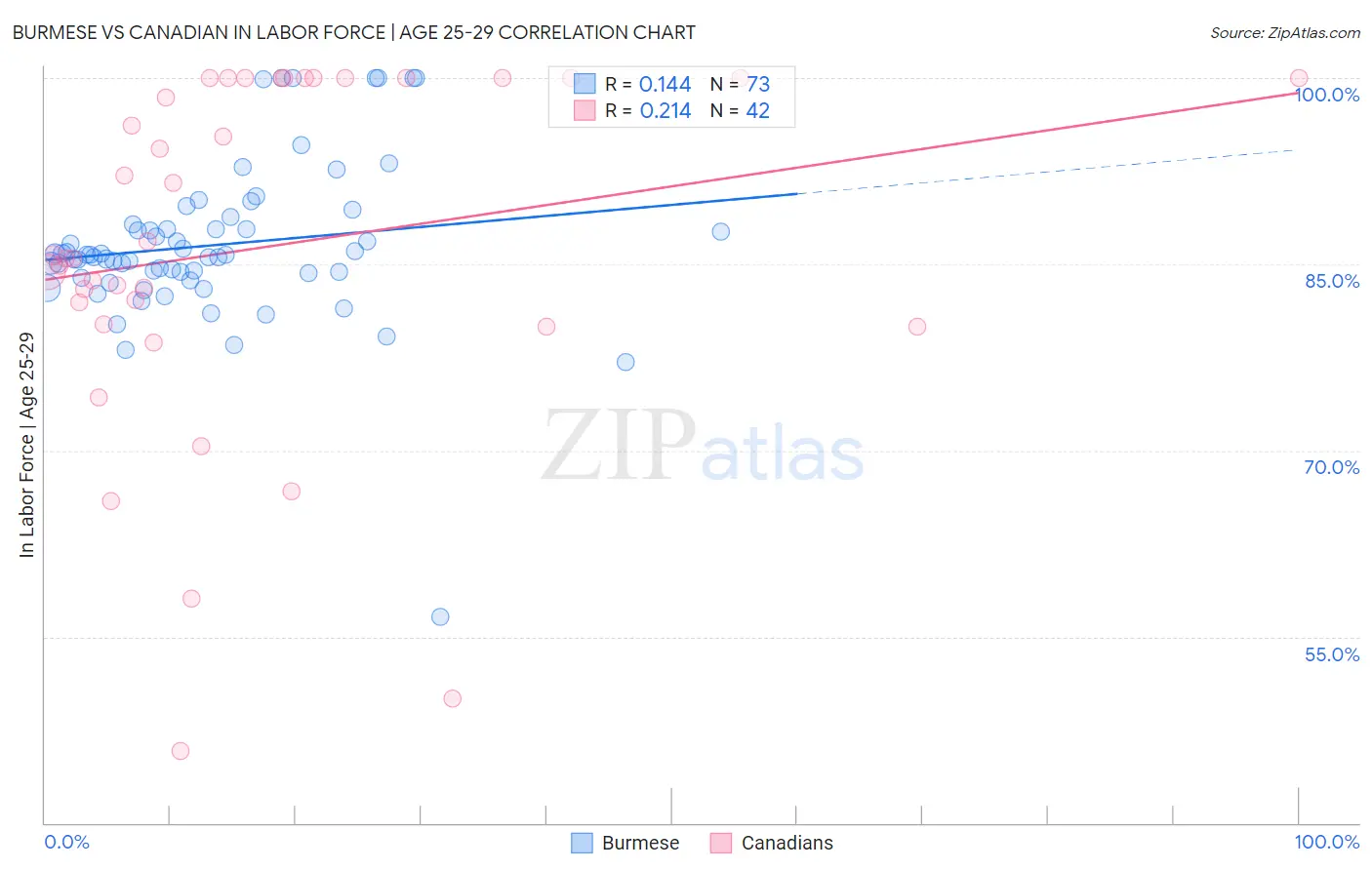 Burmese vs Canadian In Labor Force | Age 25-29