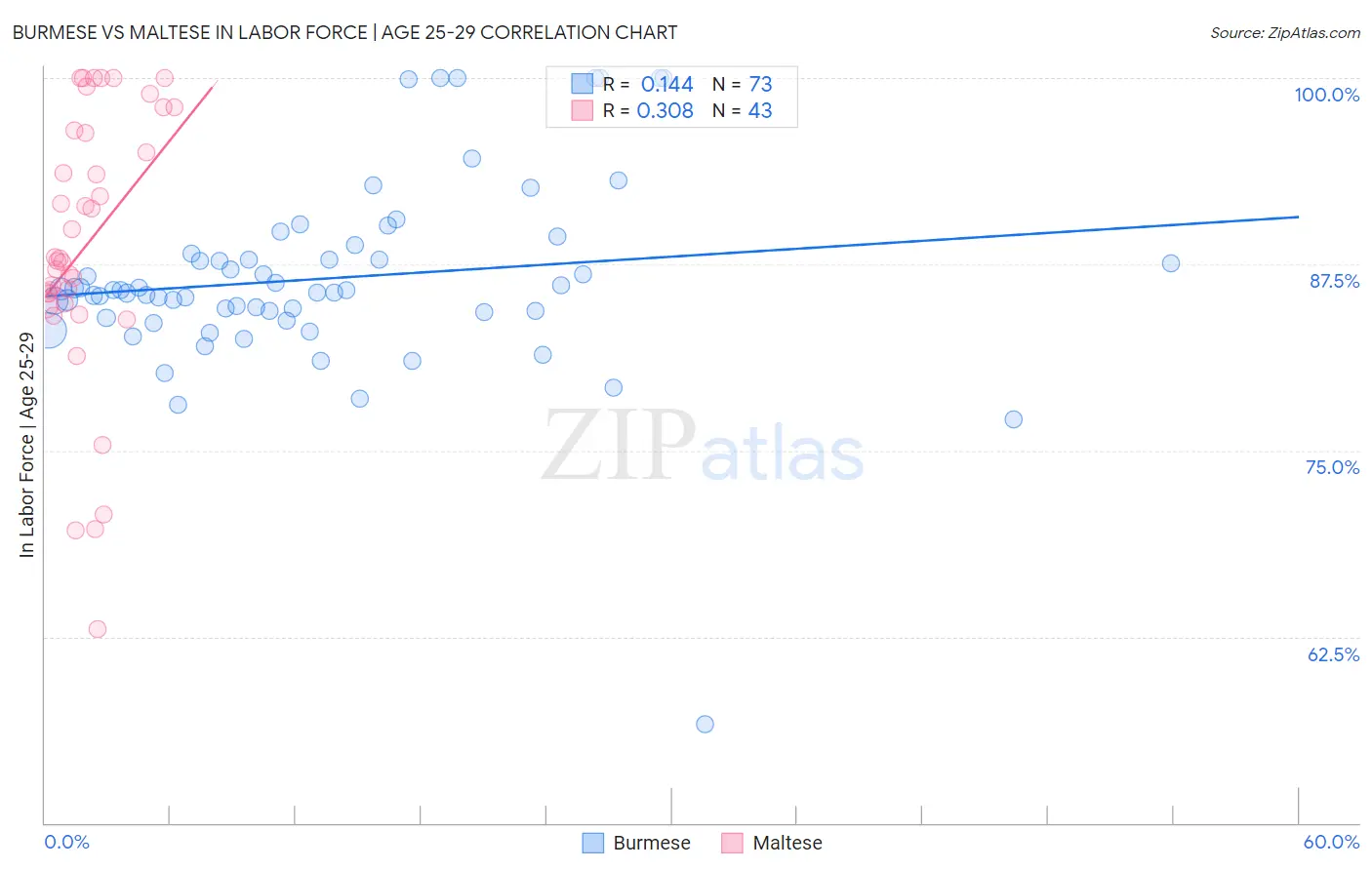 Burmese vs Maltese In Labor Force | Age 25-29