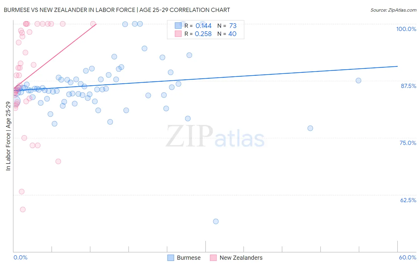 Burmese vs New Zealander In Labor Force | Age 25-29