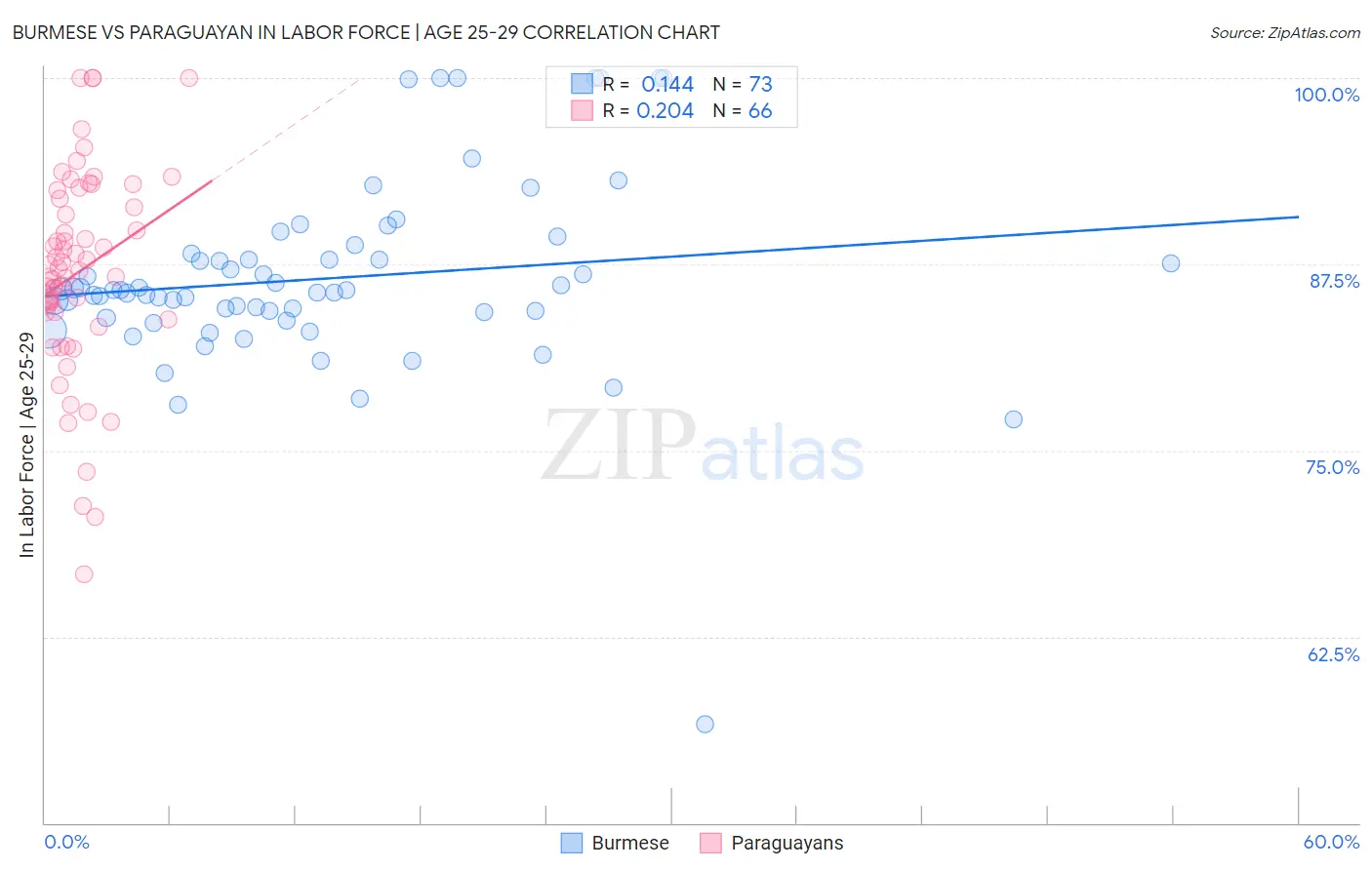 Burmese vs Paraguayan In Labor Force | Age 25-29