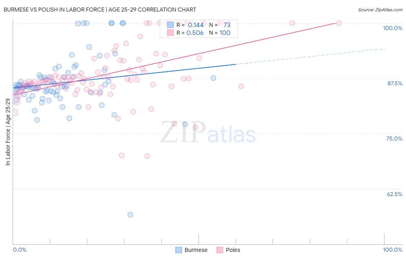 Burmese vs Polish In Labor Force | Age 25-29
