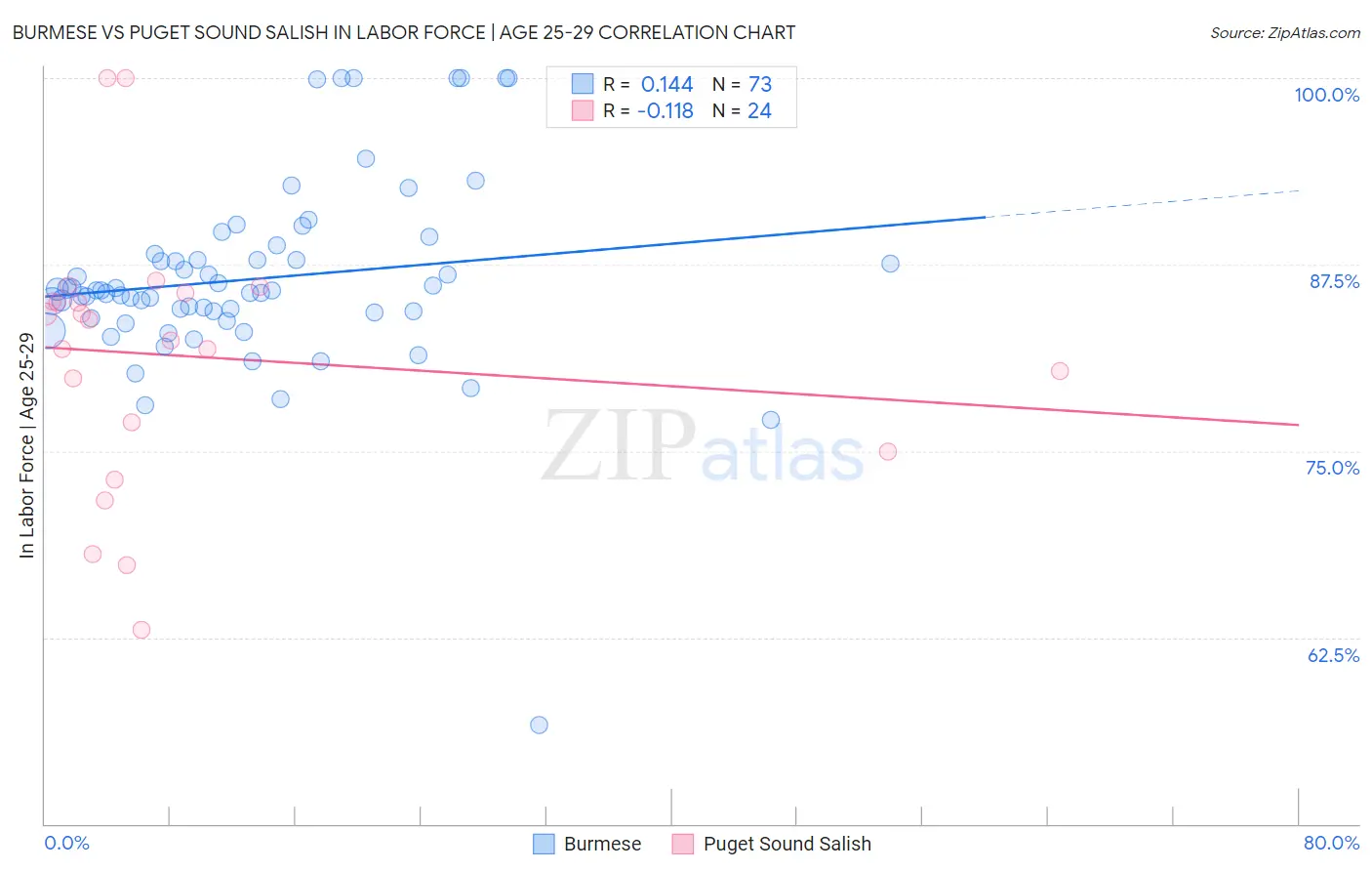 Burmese vs Puget Sound Salish In Labor Force | Age 25-29