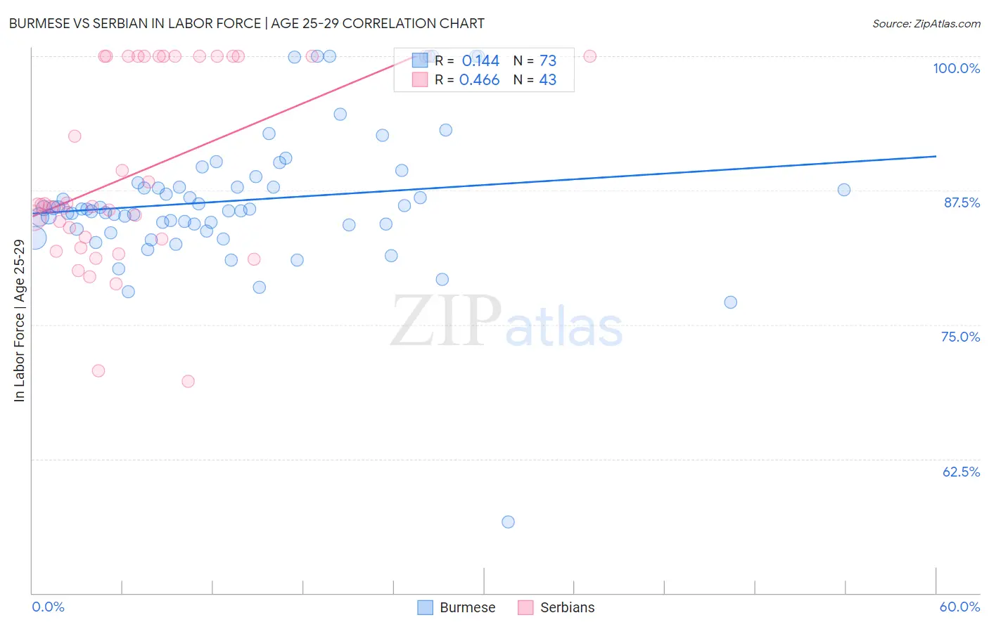 Burmese vs Serbian In Labor Force | Age 25-29