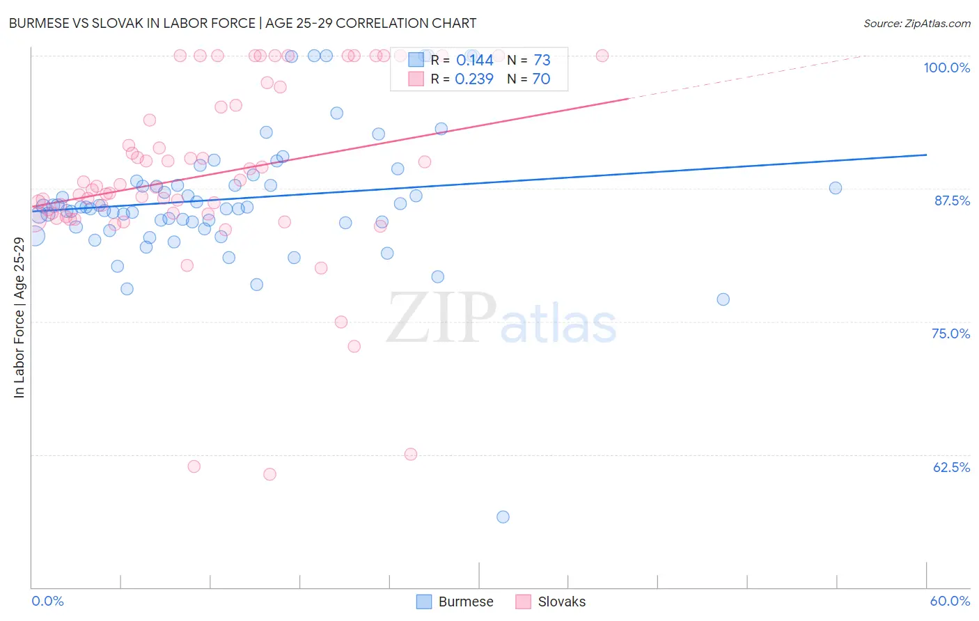 Burmese vs Slovak In Labor Force | Age 25-29