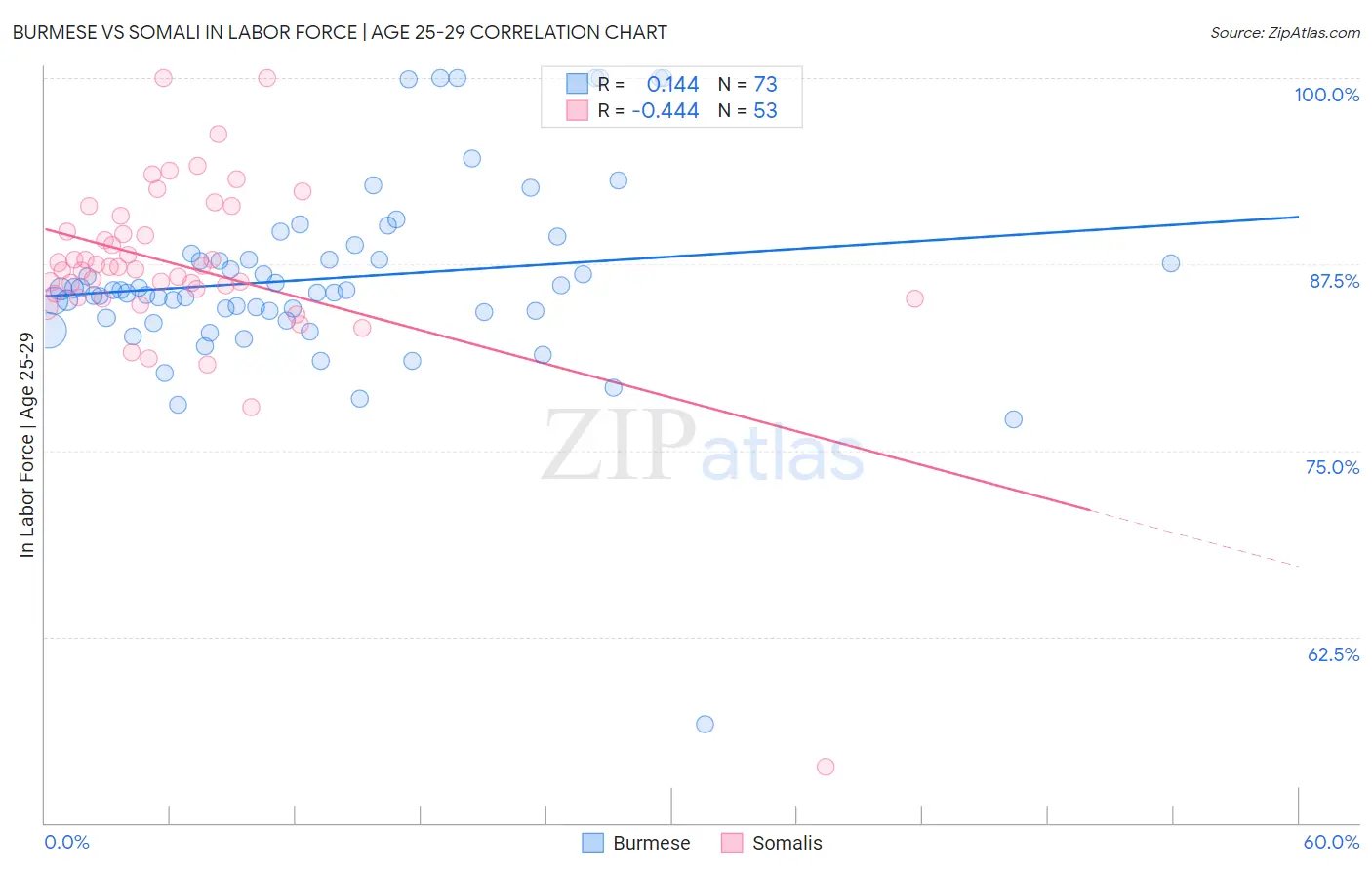 Burmese vs Somali In Labor Force | Age 25-29