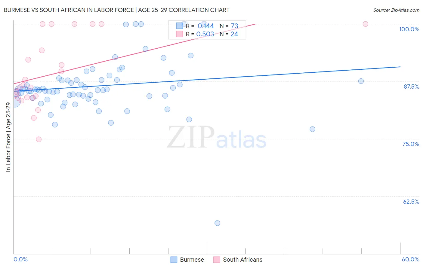 Burmese vs South African In Labor Force | Age 25-29