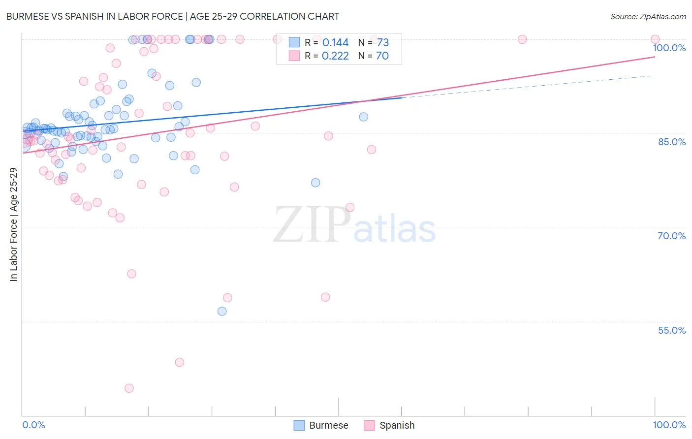 Burmese vs Spanish In Labor Force | Age 25-29