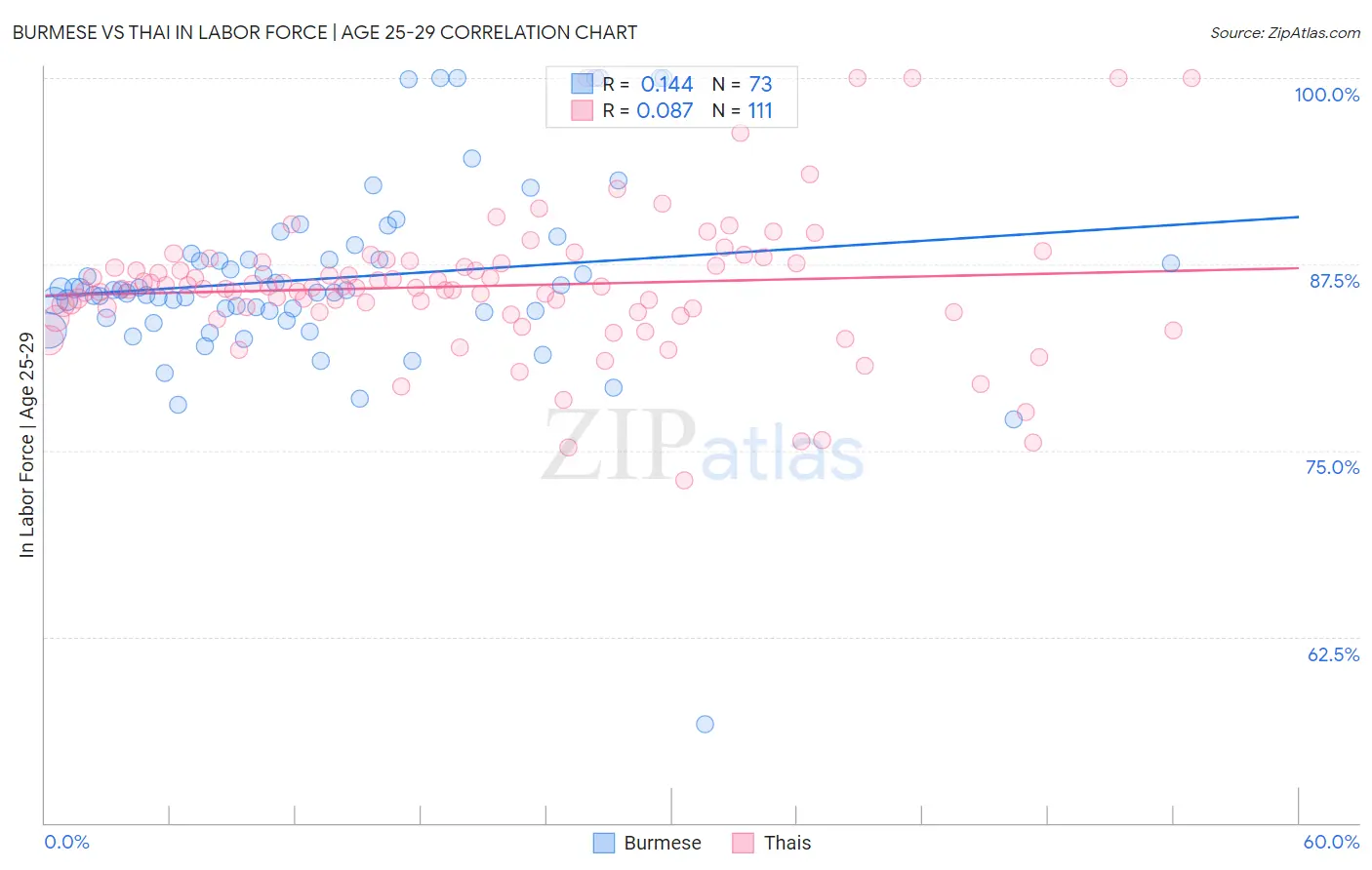Burmese vs Thai In Labor Force | Age 25-29