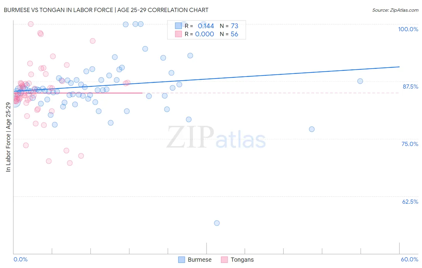 Burmese vs Tongan In Labor Force | Age 25-29