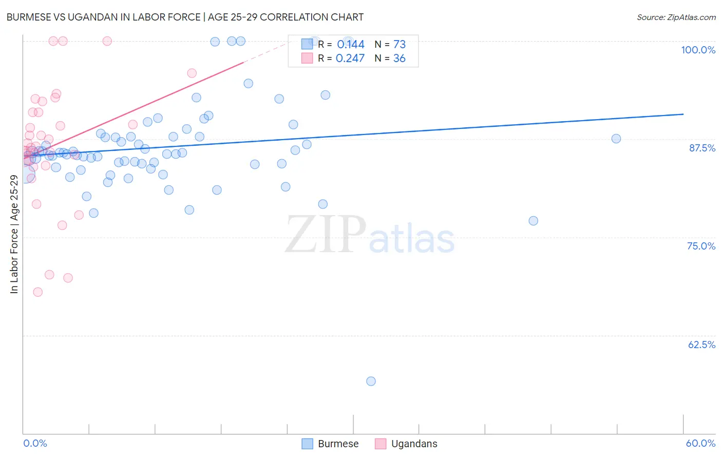 Burmese vs Ugandan In Labor Force | Age 25-29