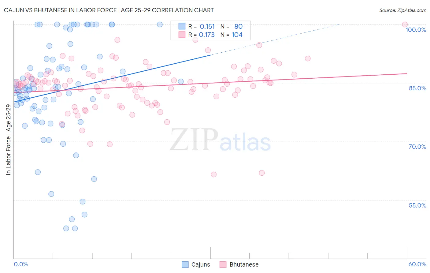 Cajun vs Bhutanese In Labor Force | Age 25-29
