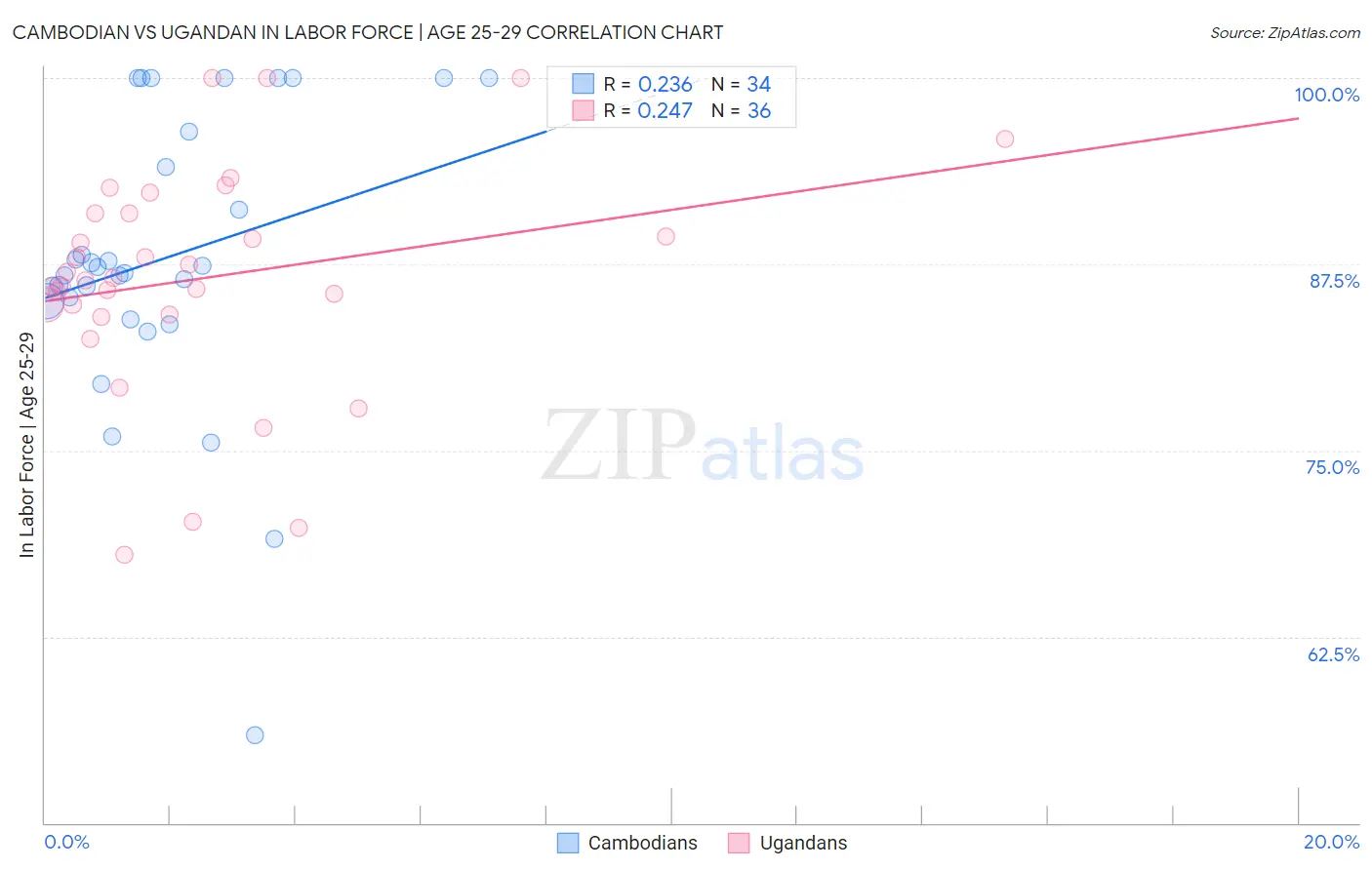 Cambodian vs Ugandan In Labor Force | Age 25-29