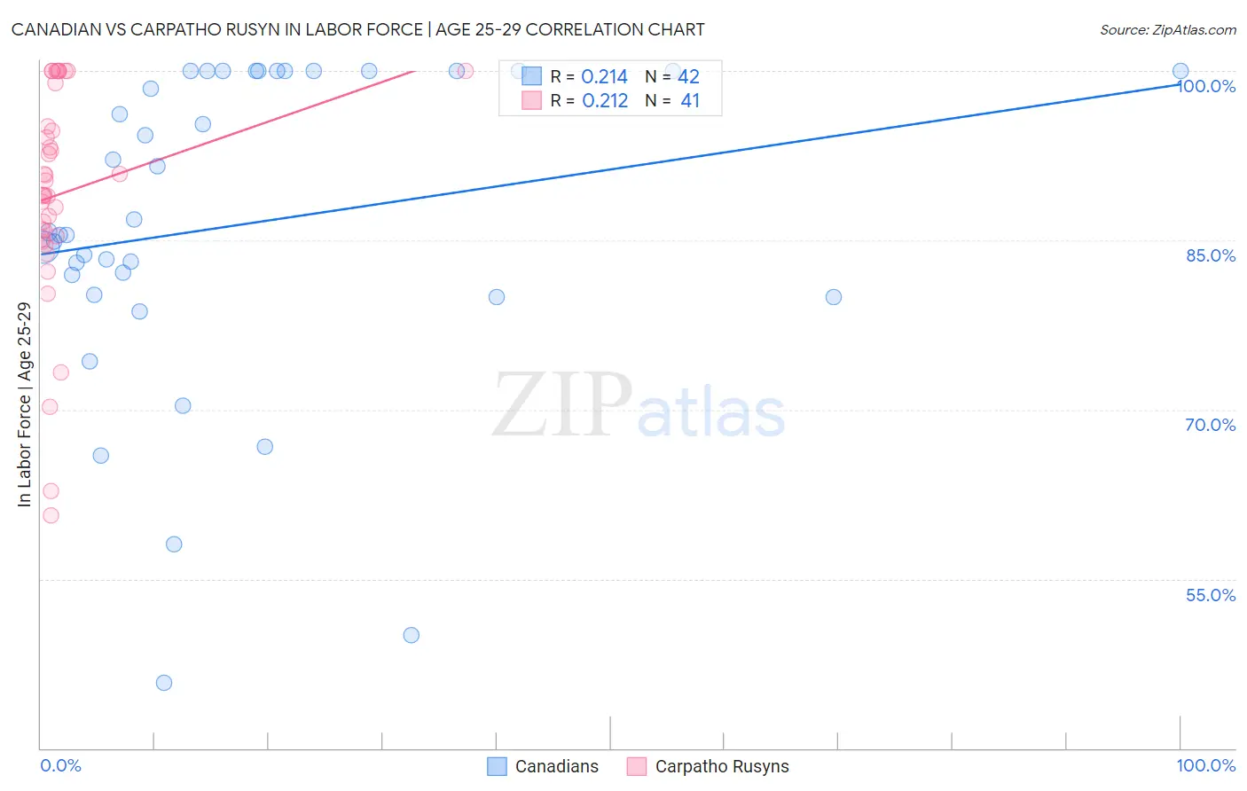 Canadian vs Carpatho Rusyn In Labor Force | Age 25-29