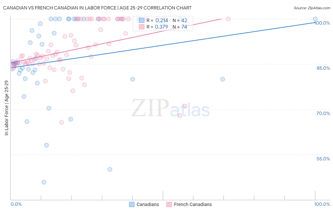 Canadian vs French Canadian In Labor Force | Age 25-29