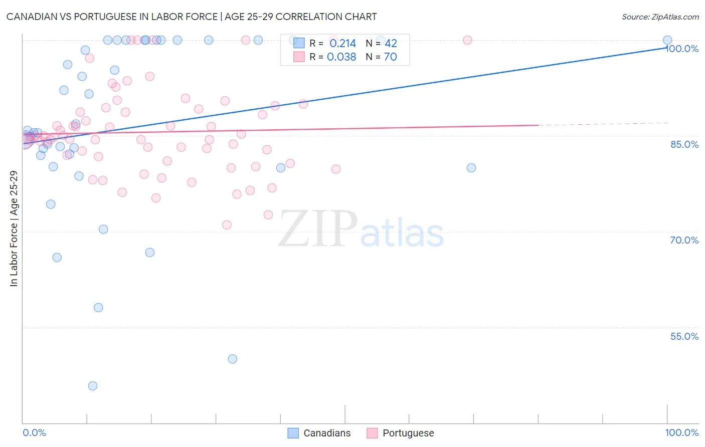 Canadian vs Portuguese In Labor Force | Age 25-29