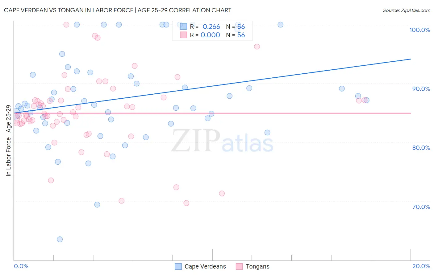 Cape Verdean vs Tongan In Labor Force | Age 25-29