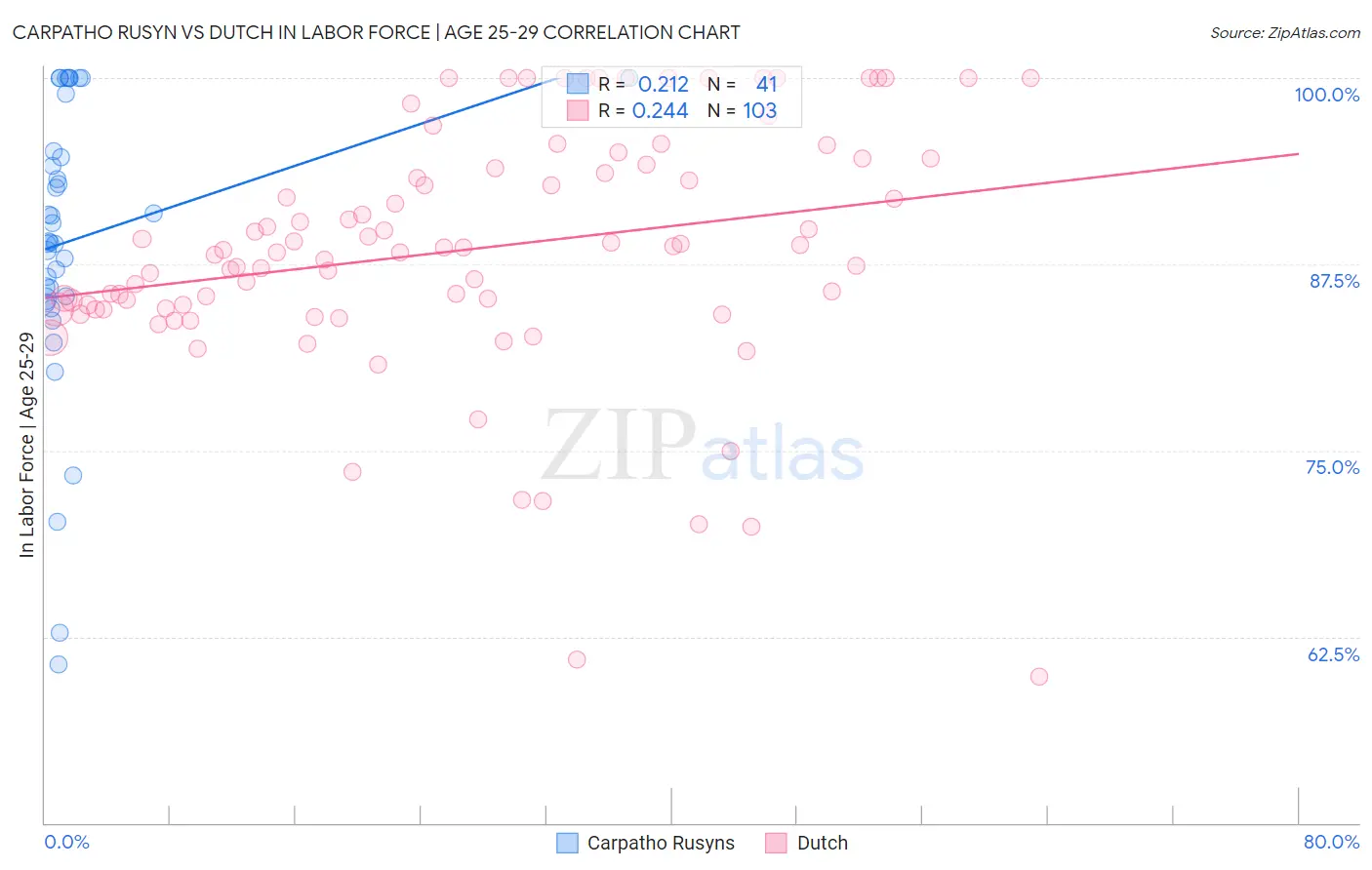 Carpatho Rusyn vs Dutch In Labor Force | Age 25-29