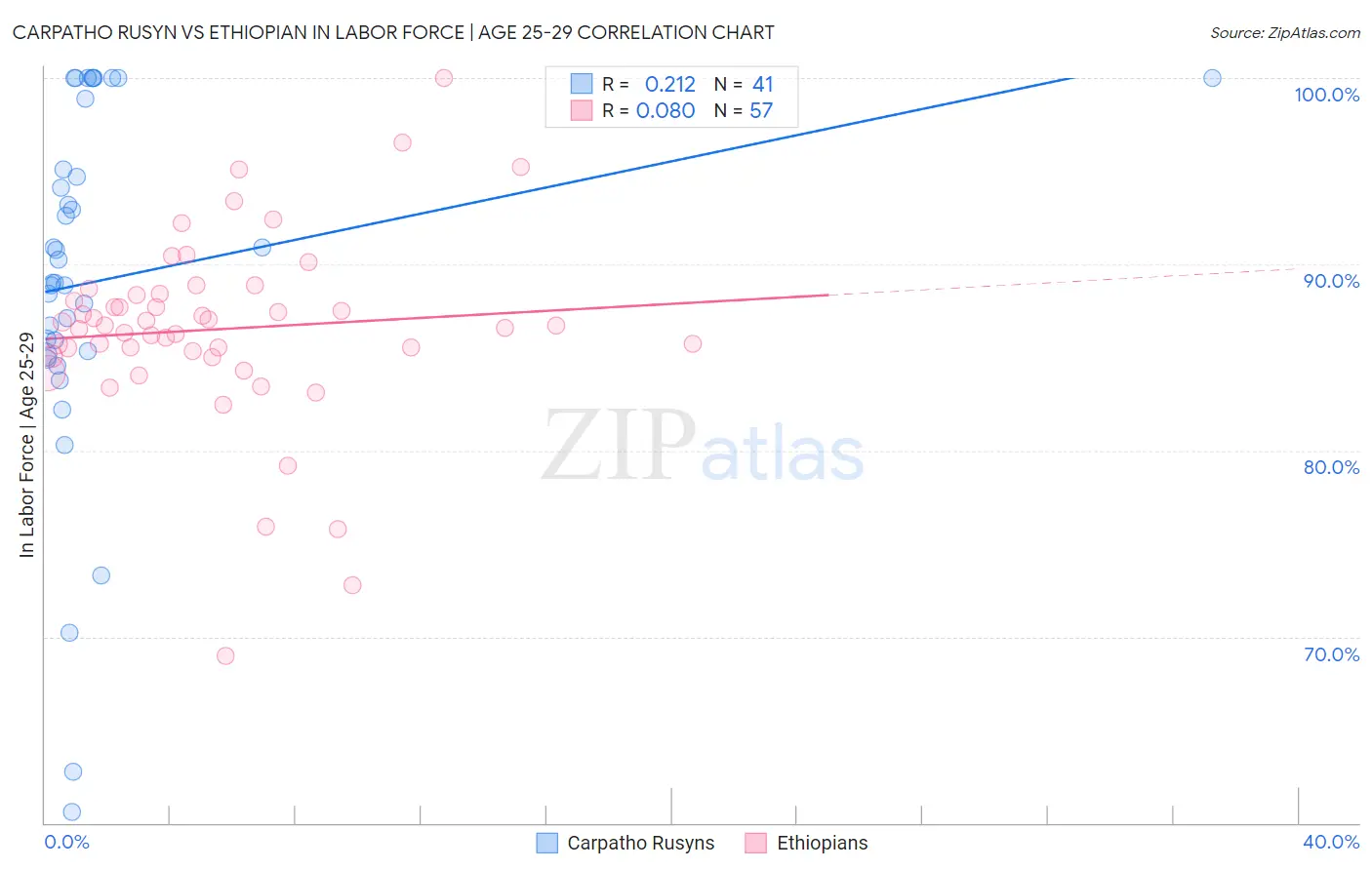 Carpatho Rusyn vs Ethiopian In Labor Force | Age 25-29