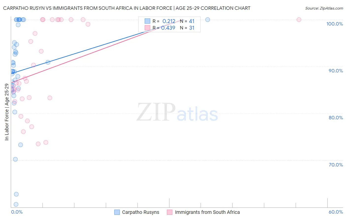 Carpatho Rusyn vs Immigrants from South Africa In Labor Force | Age 25-29